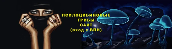 СК Саяногорск